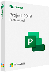Microsoft Project 2019 Professional