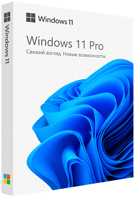 Microsoft Windows 11 Professional